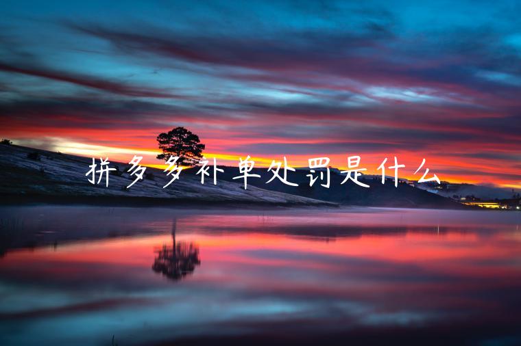 拼多多補(bǔ)單處罰是什么